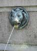 Brunnen 6_1735